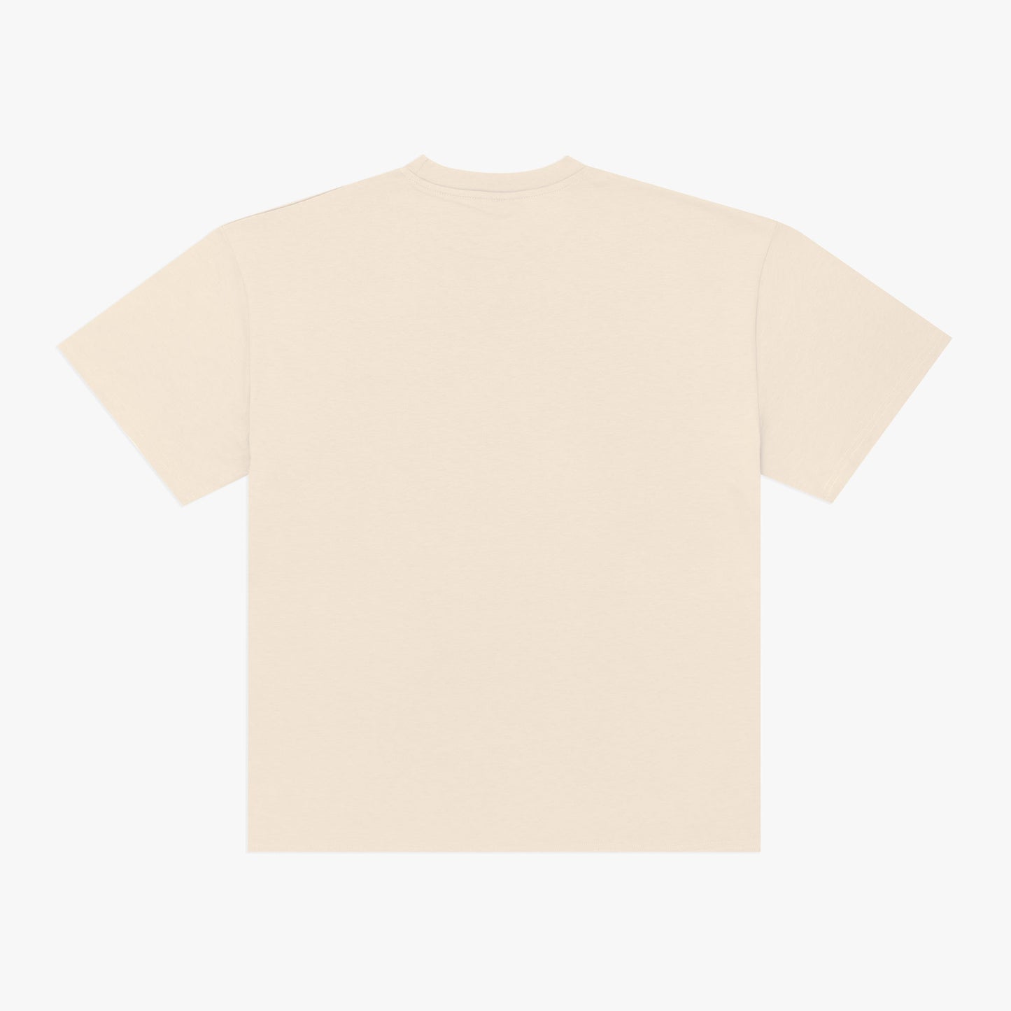 The Mens Dale Oversized T-Shirt Ecru from Parlez clothing