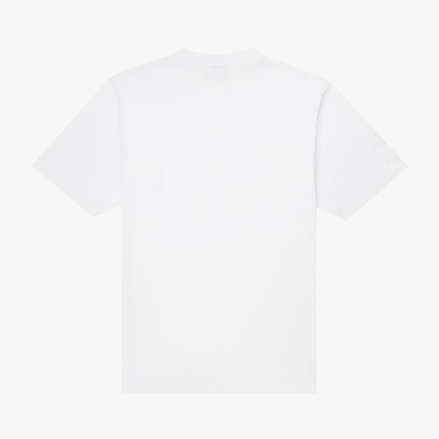 The Mens Alias T-Shirt White from Parlez clothing