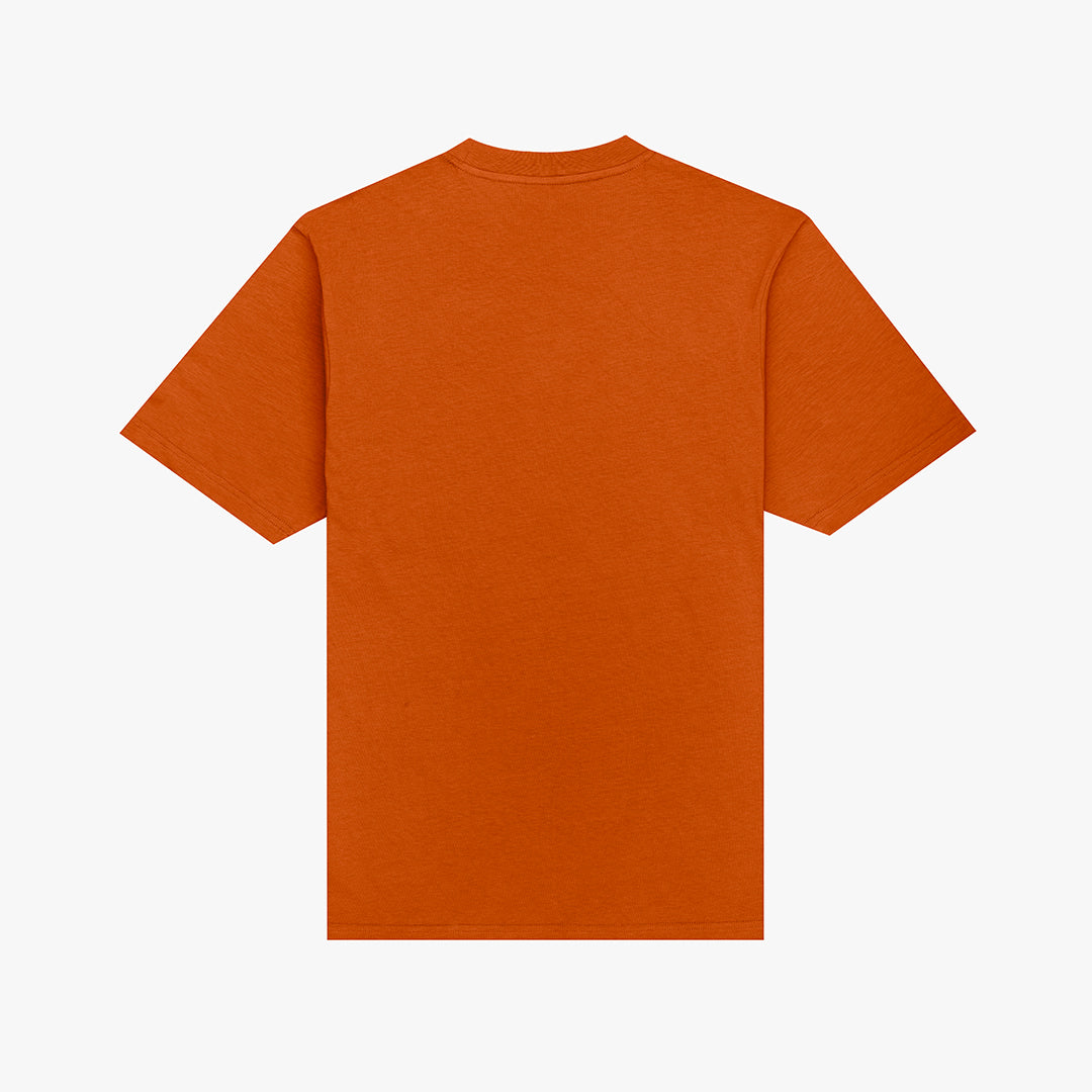 The Mens Bloc T-Shirt Rust from Parlez clothing