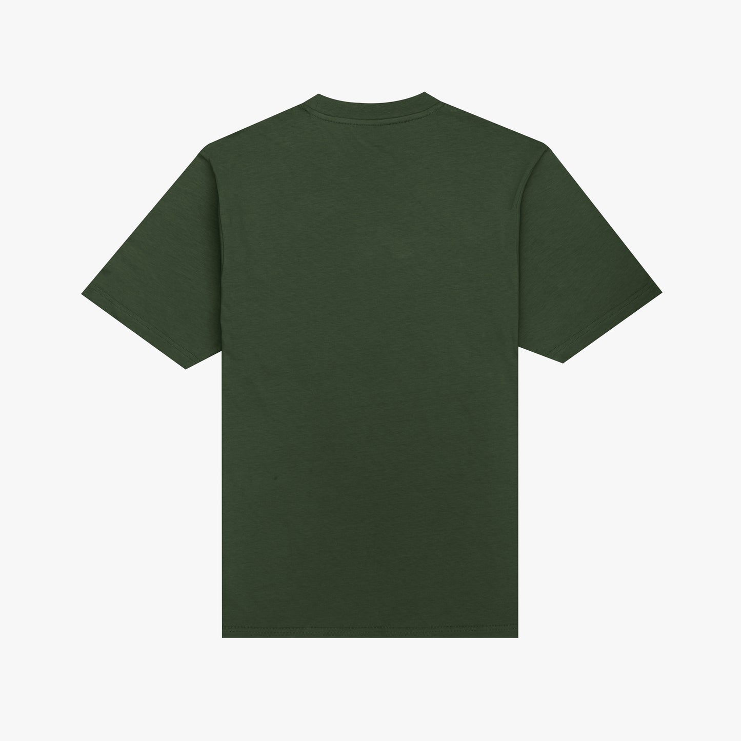 The Mens Form T-Shirt Foliage from Parlez clothing