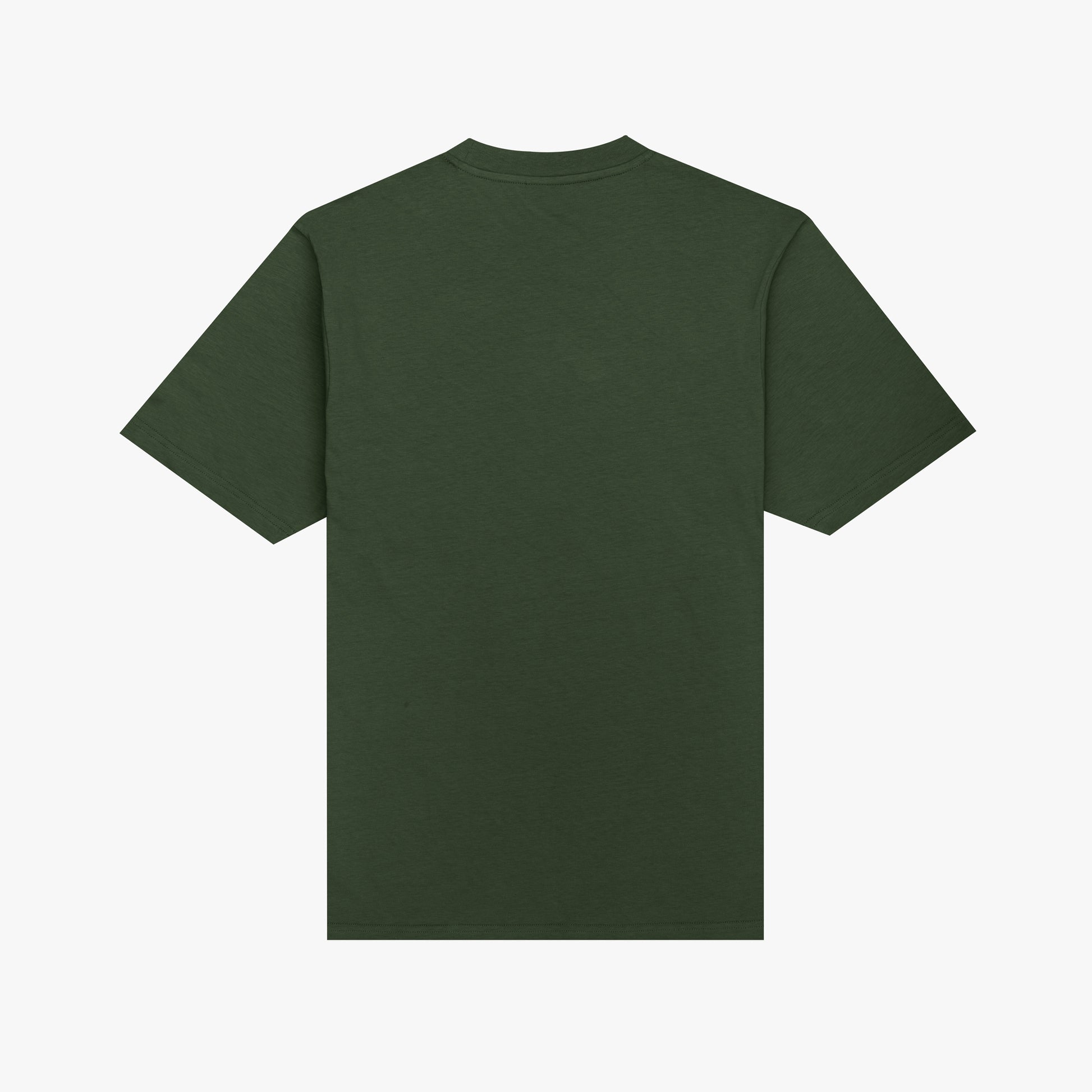 The Mens Form T-Shirt Foliage from Parlez clothing