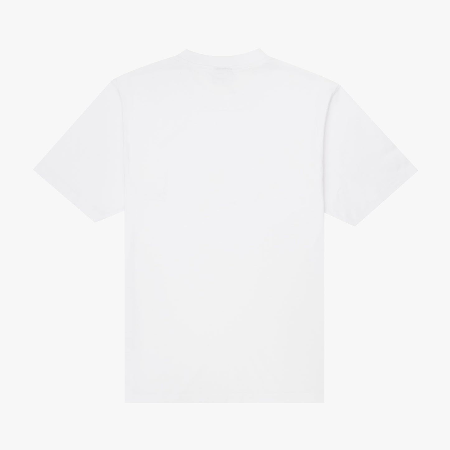 The Mens Salute T-Shirt White from Parlez clothing