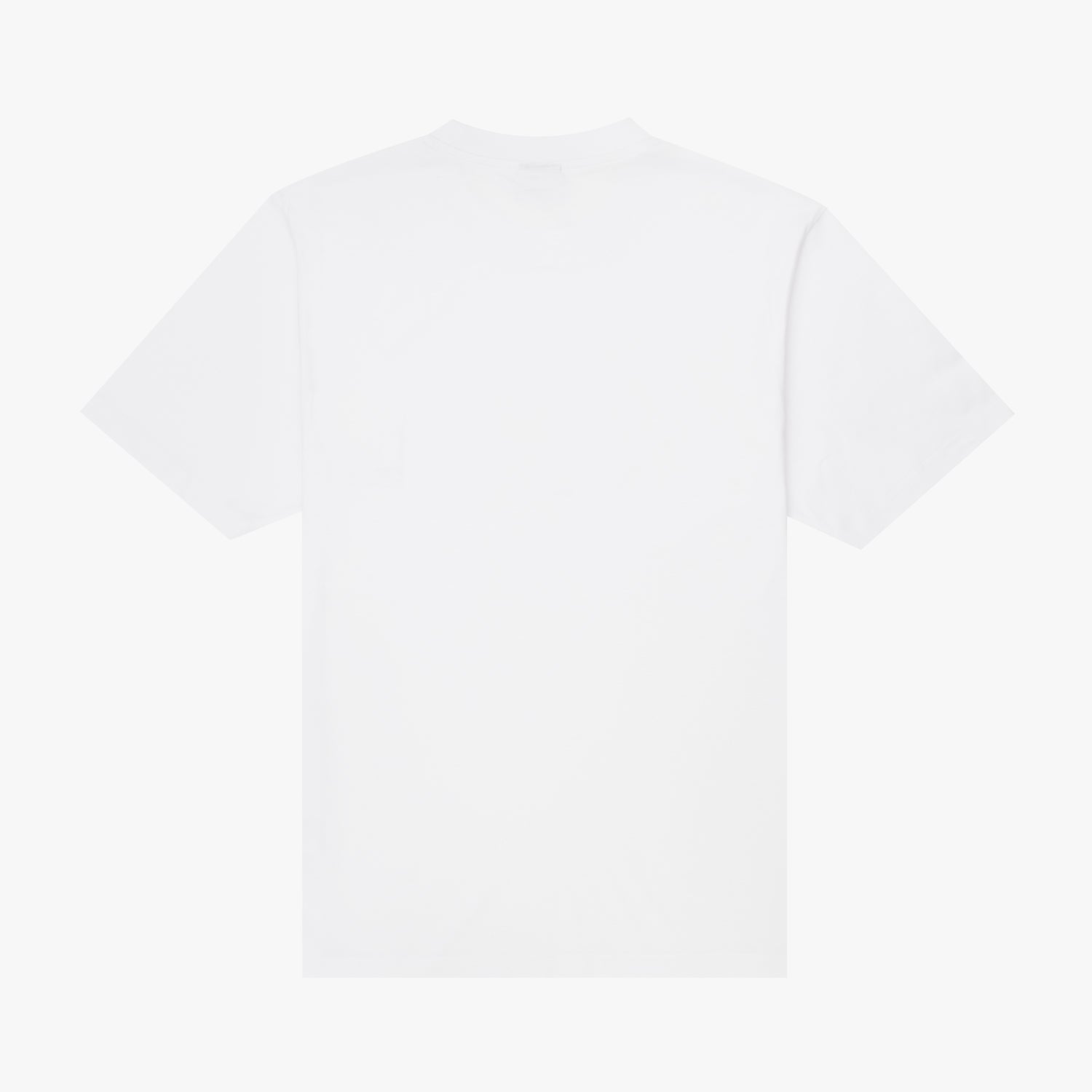 The Mens Salute T-Shirt White from Parlez clothing